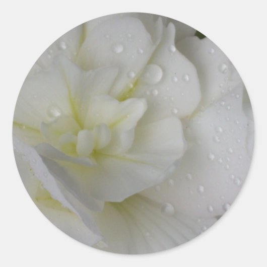 White Begonia Wedding Sticker (Vorderseite)