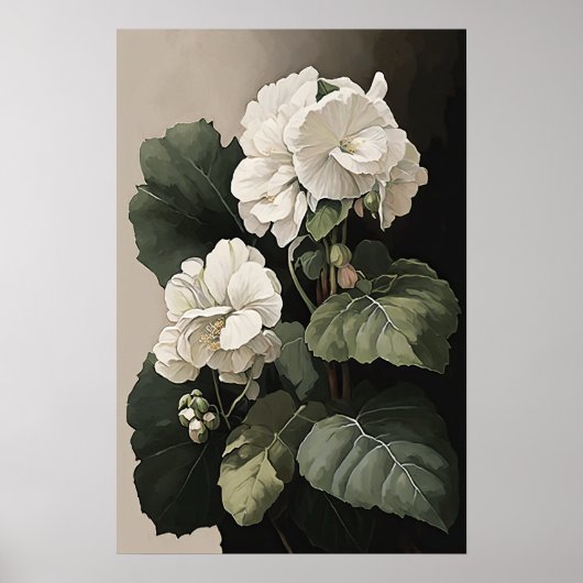 White Begonias Blume Art Print Poster (Vorne)