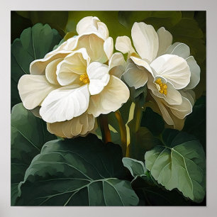 White Begonias Blume Art Print Poster
