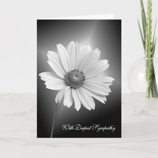 White Beileid Daisy Karte (Vorderseite)