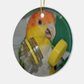 White Bellied Caique Parrot Playing Keramik Ornament (Links)