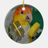 White Bellied Caique Parrot Playing Keramik Ornament (Hinten)