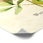 White Bellied Emerald Hummingbird Art Print Poster (Ecke)