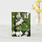 White Bells Shadow Fairies Karte (Gelbe Blume)