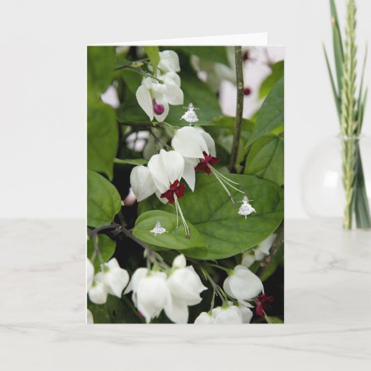 White Bells Shadow Fairies Karte (Vorderseite)