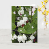 White Bells Shadow Fairies Karte (Gelbe Blume)