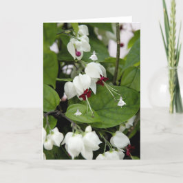 White Bells Shadow Fairies Karte