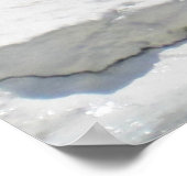 White Beluga Whale Poster (Ecke)