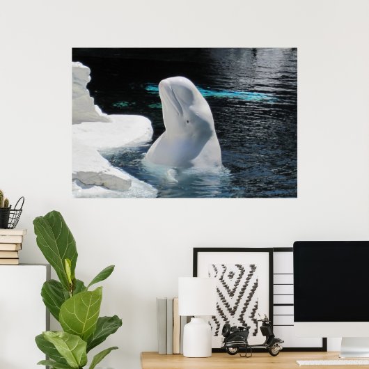 White Beluga Whale Poster (Heimbüro)