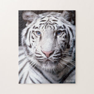 White Bengal Tiger Photo Image Puzzle
