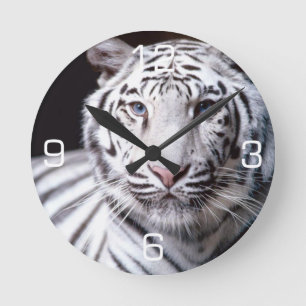 White Bengal Tiger Photography Runde Wanduhr