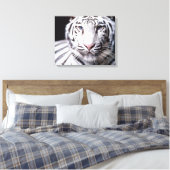 White Bengalisch Tiger Fotografy Leinwanddruck (Insitu (Schlafzimmer))