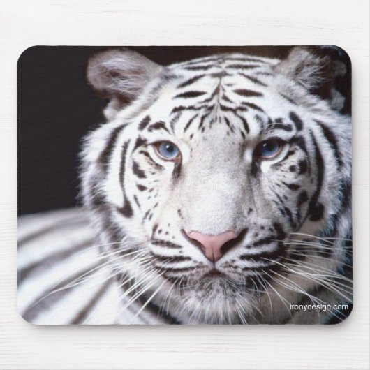 White Bengalisch Tiger Fotografy Mousepad (Vorne)