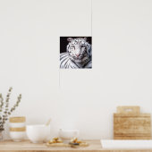 White Bengalisch Tiger Fotografy Poster (Küche)