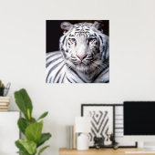 White Bengalisch Tiger Poster (Heimbüro)