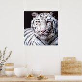 White Bengalisch Tiger Poster (Küche)
