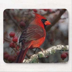 White Berries Primitive Christmas Red Kardinal Mousepad
