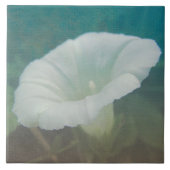 White Bindweed - Der wilde, ewige Morgenherrn Fliese (Vorderseite)