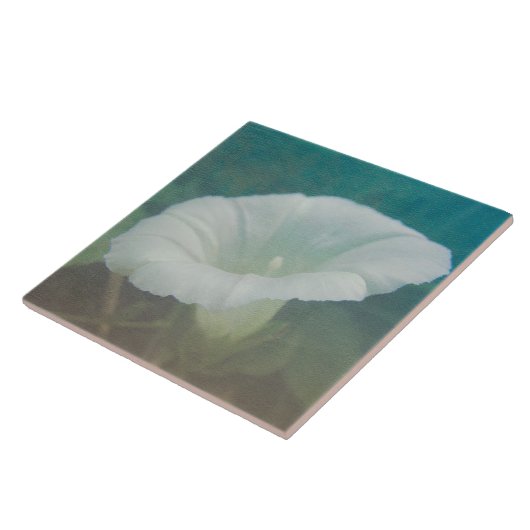 White Bindweed - Der wilde, ewige Morgenherrn Fliese (Seite)