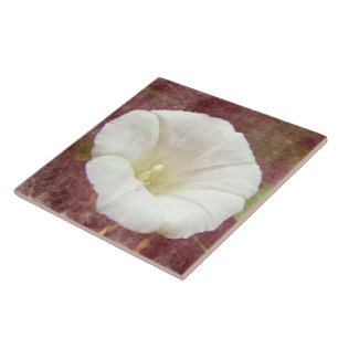 White Bindweed - Der wilde, ewige Morgenherrn Fliese