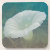 White Bindweed - Der wilde, ewige Morgenherrn Getränkeuntersetzer (Vorderseite)