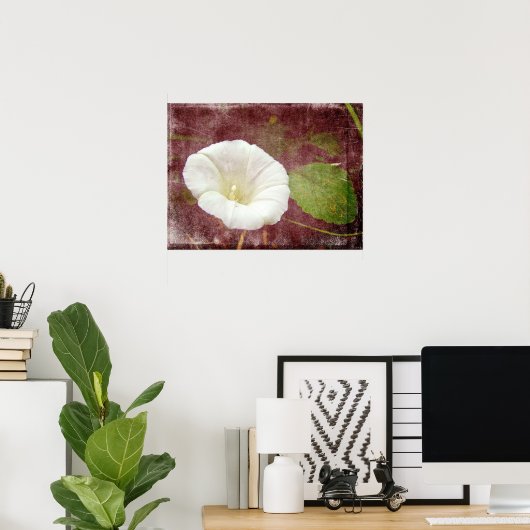 White Bindweed - Der wilde, ewige Morgenherrn Poster (Heimbüro)