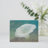 White Bindweed - Der wilde, ewige Morgenherrn Postkarte (Stehend Vorderseite)