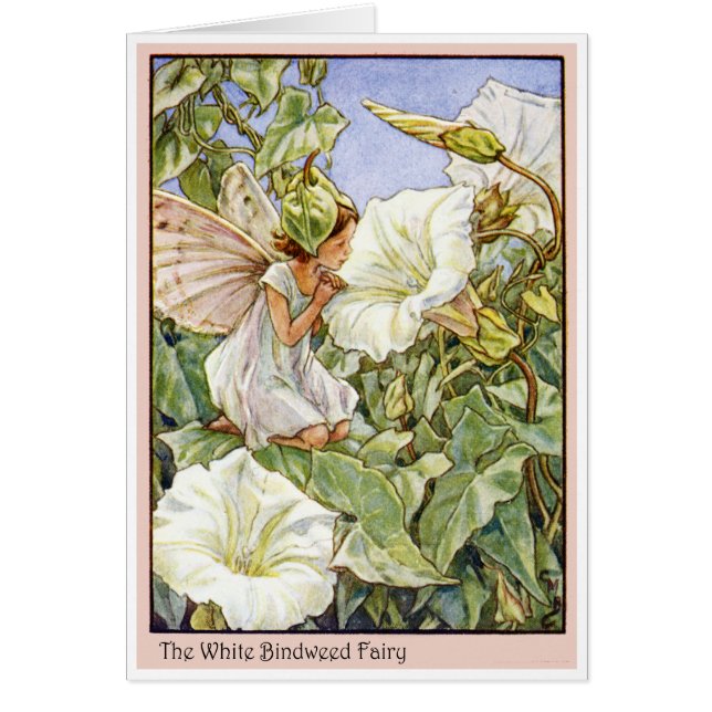 White Bindweed Fairy (Vorne)