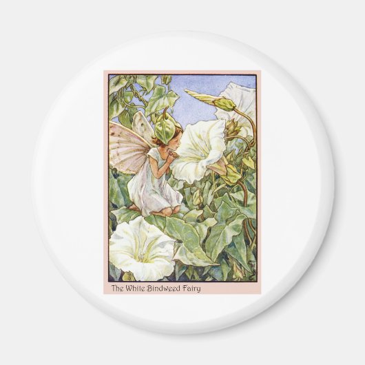 White Bindweed Fairy Magnet (Vorne)
