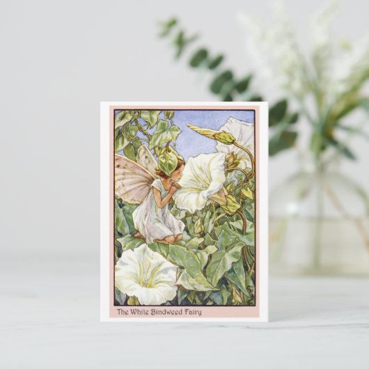 White Bindweed Fairy Postkarte (Stehend Vorderseite)