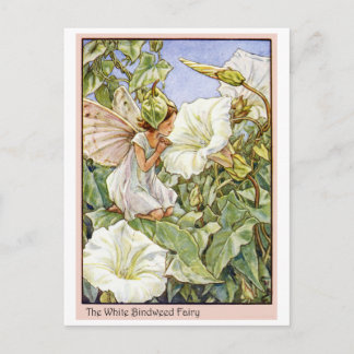 White Bindweed Fairy Postkarte