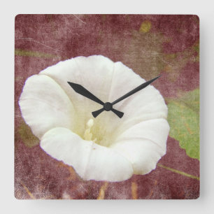 White Bindweed - The Wild Perennial Morning Glory Quadratische Wanduhr