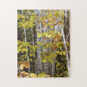 White Birch in Autumn Puzzle