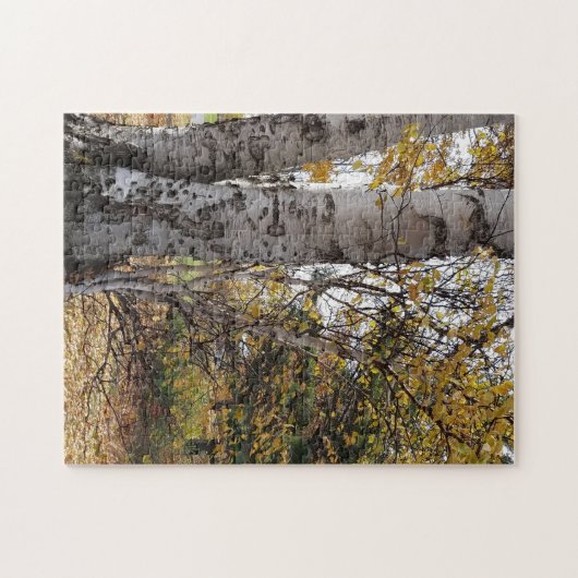 White Birch in Autumn Puzzle (Horizontal)