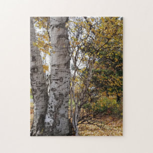 White Birch in Autumn Puzzle