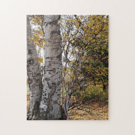 White Birch in Autumn Puzzle (Vertikal)