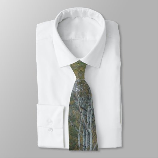 White Birch Necktie Krawatte (Gebunden)
