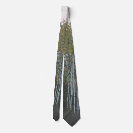 White Birch Necktie Krawatte (Rückseite)