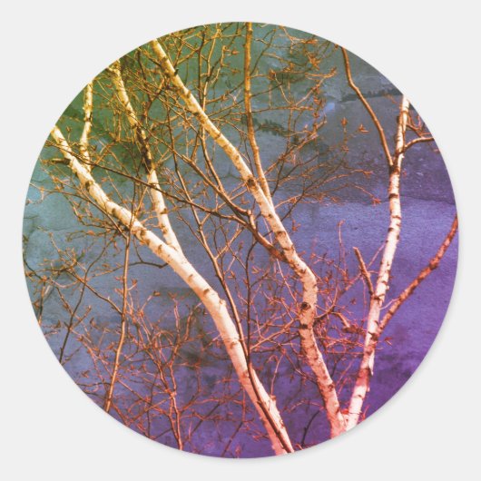 White Birch Tree Blue Sky Nature Art Runder Aufkleber (Vorderseite)