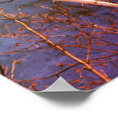 White Birch Tree Blue Sky stört Abstrakt Poster (Ecke)