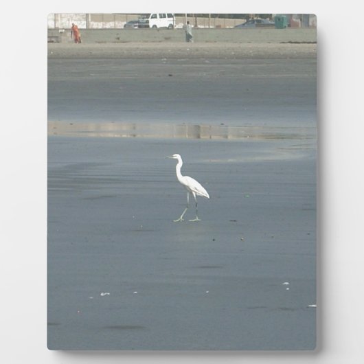 White Bird auf grauem Sand Beach Art Print Fotoplatte (Vorderseite)