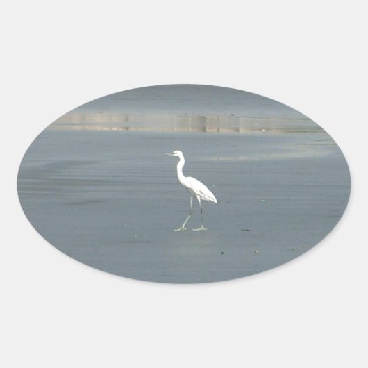 White Bird auf grauem Sand Beach Art Print Ovaler Aufkleber (Vorderseite)