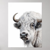 White Bison Buffalo Poster (Vorne)