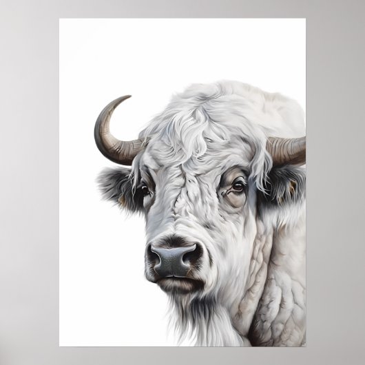 White Bison Buffalo Poster (Vorne)