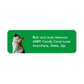 White & Black Cat & Rentier Weihnachtsspielzeug-Ad (Vorne)