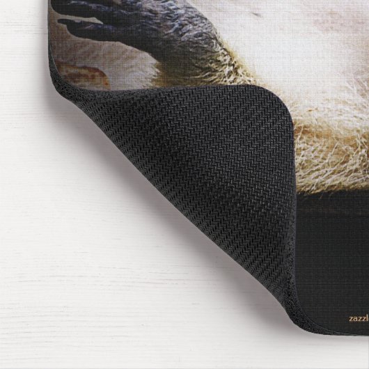 White Blond Raccoon Wildlife Süße Tier Mousepad (Ecke)