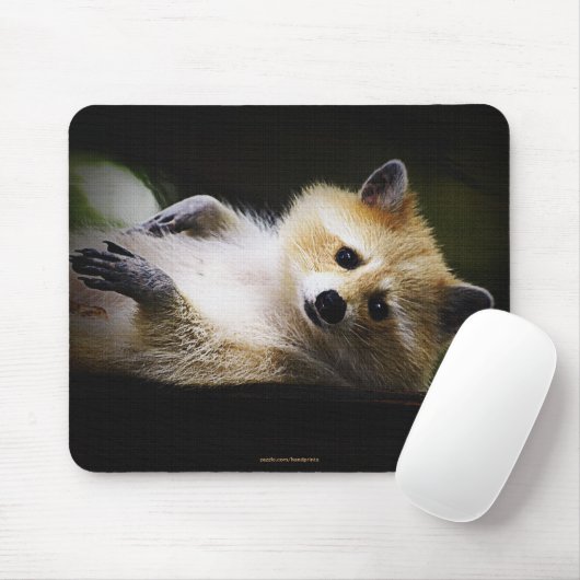 White Blond Raccoon Wildlife Süße Tier Mousepad (Mit Mouse)