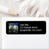 White Blossom Cluster Frühlingsblühende Birnbaum (Insitu)