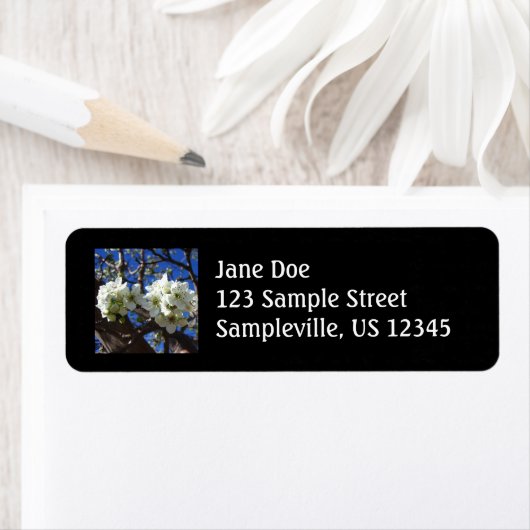 White Blossom Cluster Frühlingsblühende Birnbaum (Insitu)