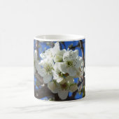 White Blossom Cluster Frühlingsblühende Birnbaum Kaffeetasse (Mittel)